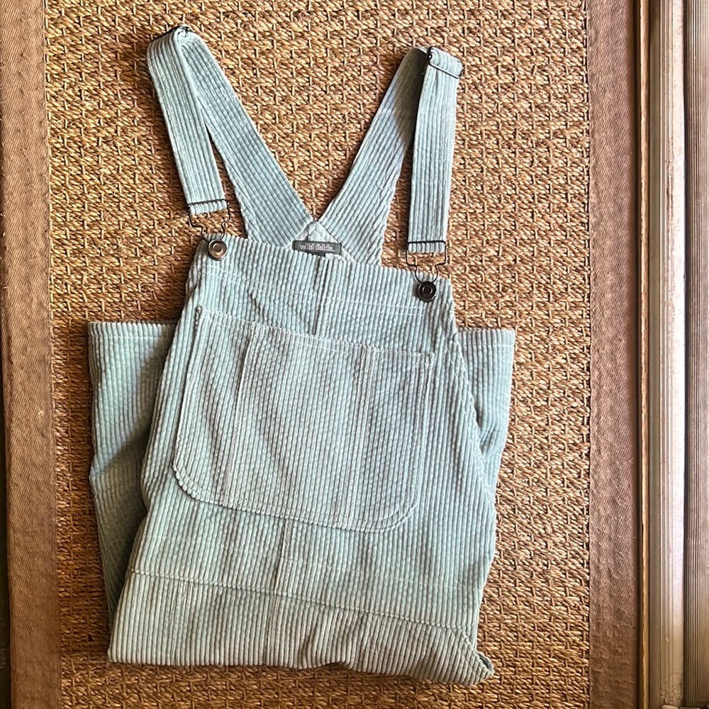 Wild Fable corduroy overall dress
